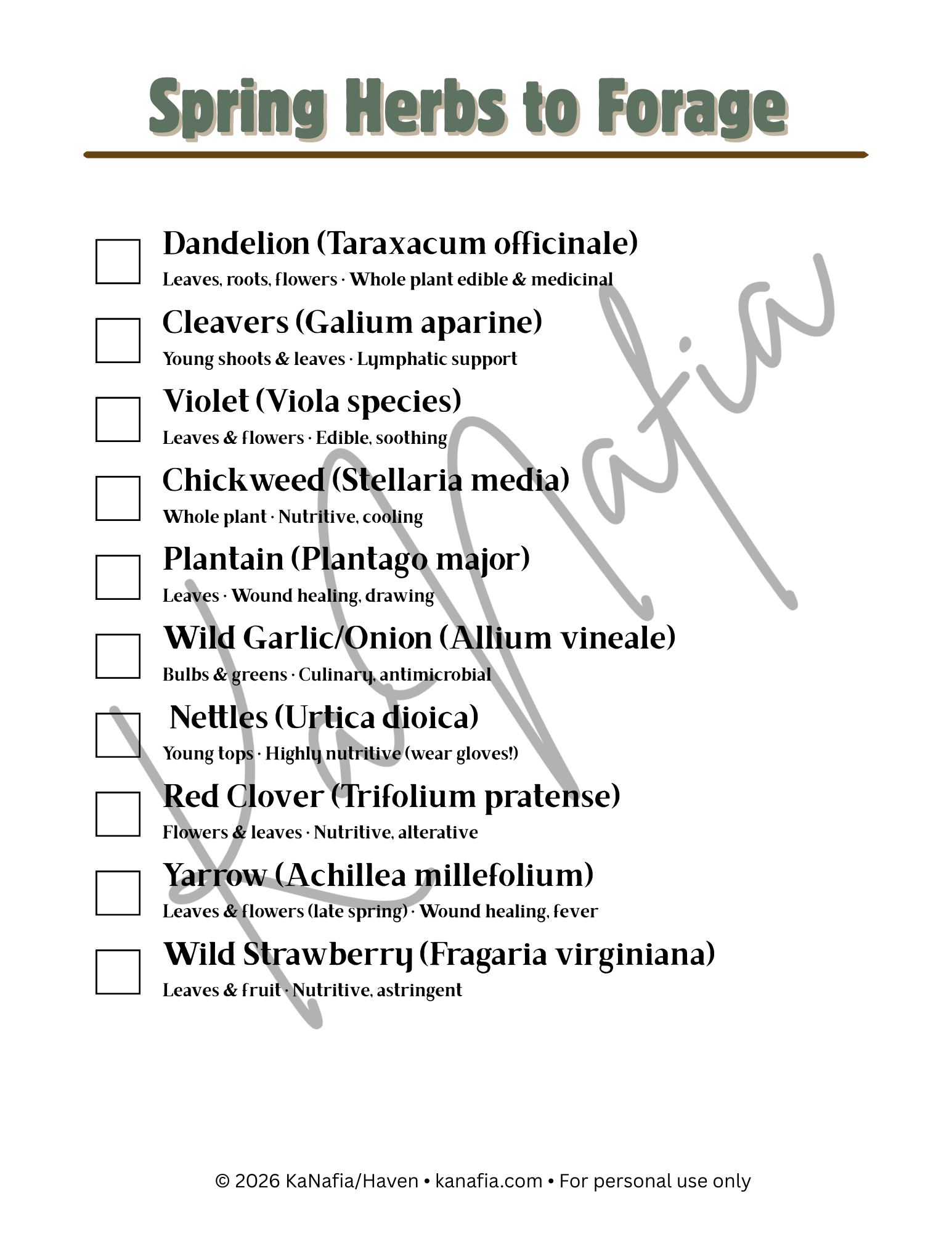 Haven Herbalist Spring Foraging Tracker - Image 2